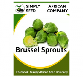 Brussel Sprouts Long Island Seeds