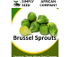 Brussel Sprouts Long Island 30’s