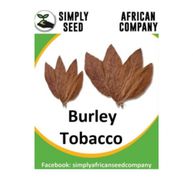 Tobacco Burley Seeds