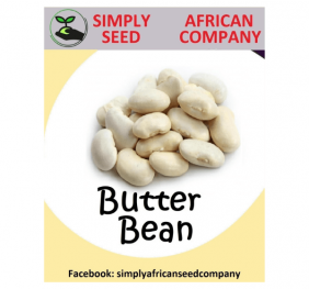 Butter Bean Seeds