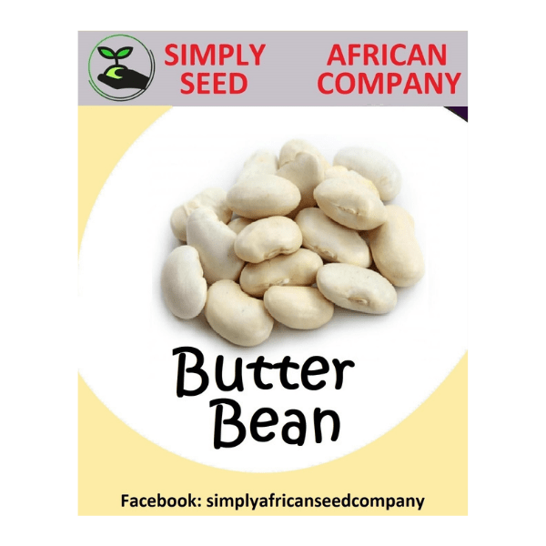 Butter Bean Seeds Simply African Seed Company