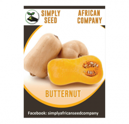 Butternut Seeds