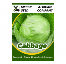 Cabbage Seeds