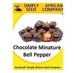 Chocolate Miniature Bell Pepper Seeds