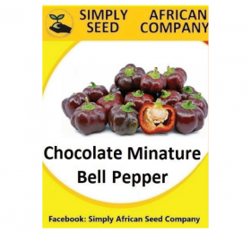 Chocolate Miniature Bell Pepper Seeds