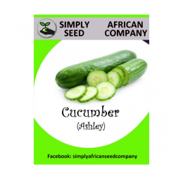 Cucumber (Ashley) Seeds