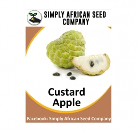 Custard Apple Seeds