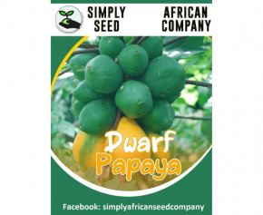 Dwarf Papaya Seeds