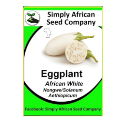 Eggplant African White (Ngogwe)