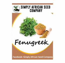Fenugreek Seeds