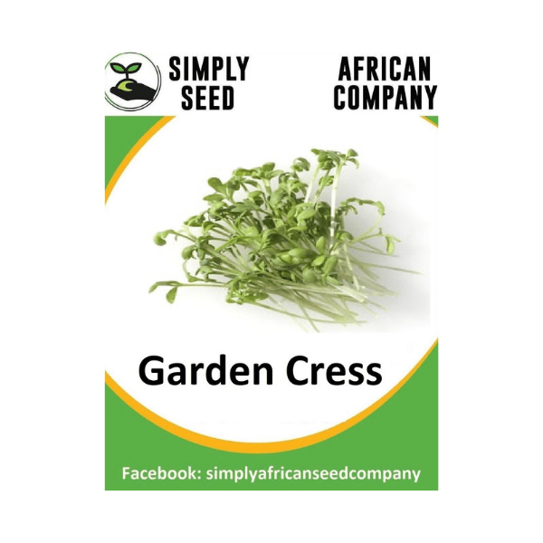 Persian Garden Cress