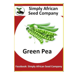 Pea Seeds