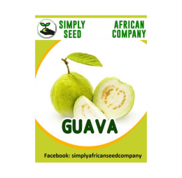 Guava White Seeds