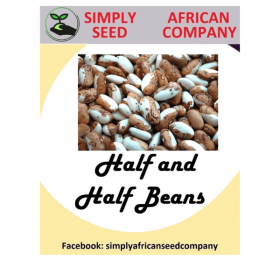 Half And Half Bean Seeds
