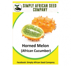 African Cucumber (Horned Melon)