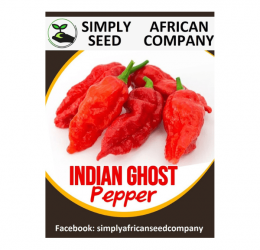 Indian Ghost Pepper Seeds