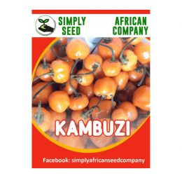 Malawian Kambuzi Chilli Seeds