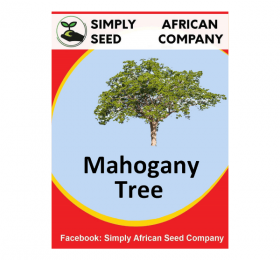 Mahogany Seeds
