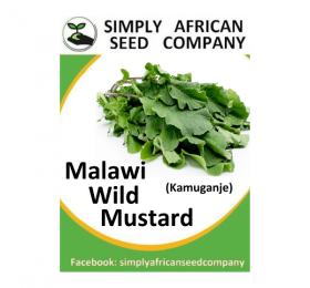 Malawi Wild Mustard (Kamuganje) Seeds