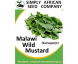Malawi Wild Mustard (Kamuganje) Seeds