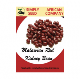 Malawian Red Kidney Bean Seeds