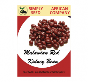 Malawian Red Kidney Bean Seeds