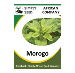 Morogo Seeds
