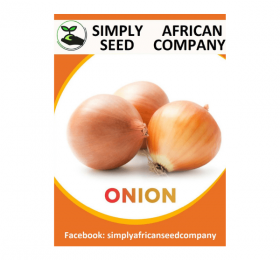 Onion White Texas Grano Seeds