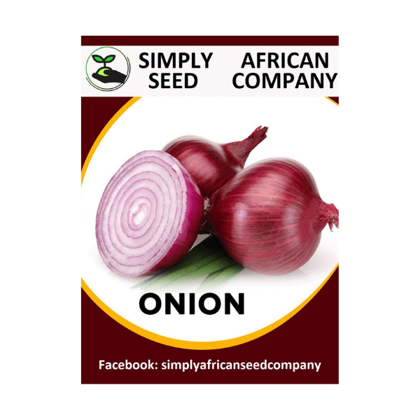 Onion Red Creole Seeds - Simply African Seed Company