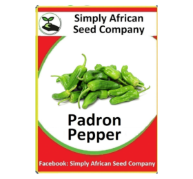 Padron Pepper