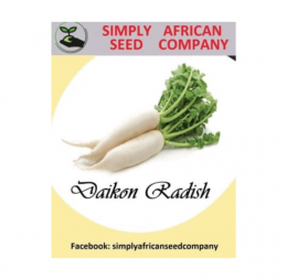 Radish (Daikon) Seeds