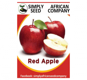 Red Apple Seeds