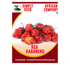 Red Habanero Seeds
