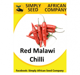 Red Malawi Chilli Seeds