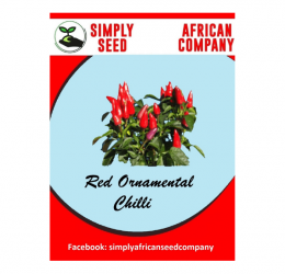 Red Ornamental Chilli Seeds