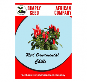 Red Ornamental Chilli Seeds