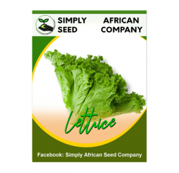 Lettuce (Leaf) Seeds