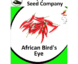 African Birds Eye Chilli Seeds