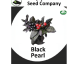 Black Pearl Chilli Seeds