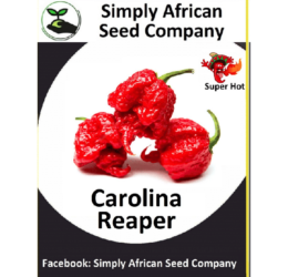 Carolina Reaper Red 12’s