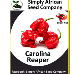 Carolina Reaper Red 12’s
