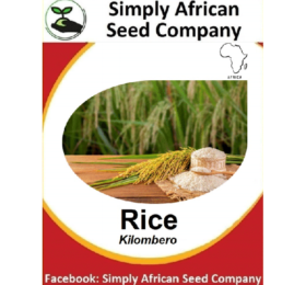Kilombero Rice Seeds