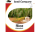 Kilombero Rice Seeds
