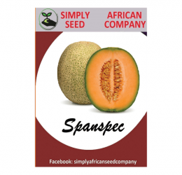 Spanspek Seeds