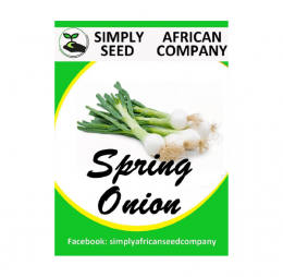 Spring Onion Seeds