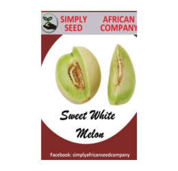 Sweet White Melon Seeds