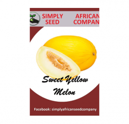 Sweet Yellow Melon Seeds