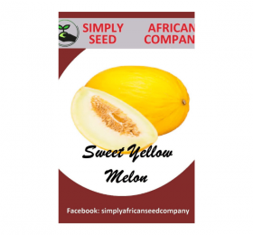 Sweet Yellow Melon Seeds
