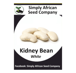 Beans White Kidney 15’s