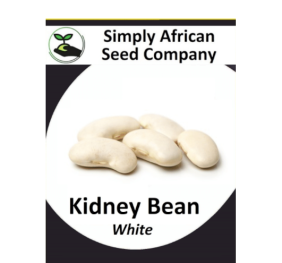Beans White Kidney 15’s